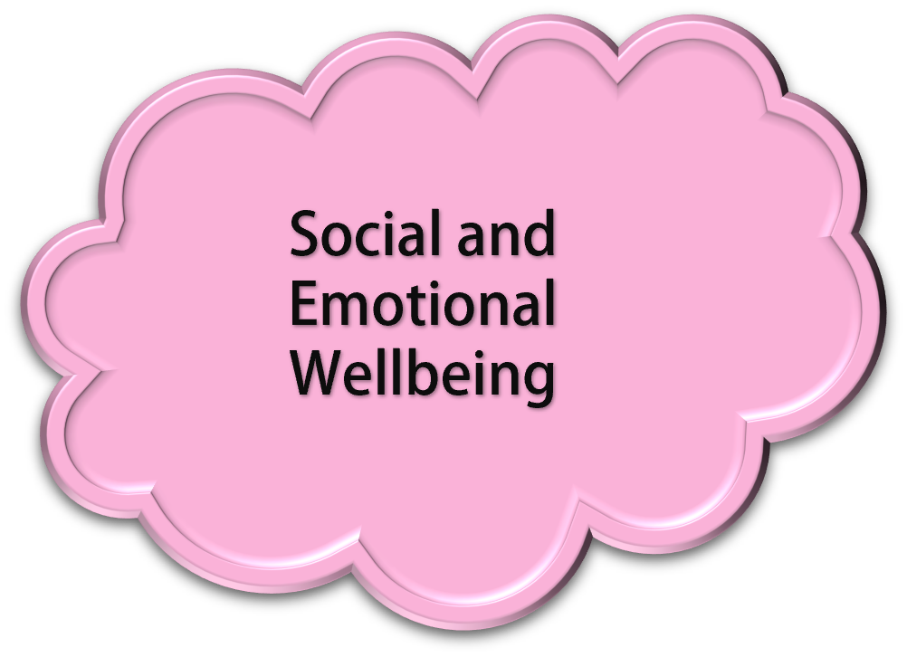 Social and Emotional Wellbeing